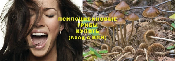 мет Няндома