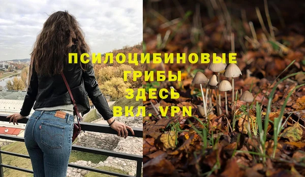 MDMA Premium VHQ Нязепетровск