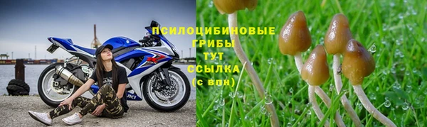 мет Няндома