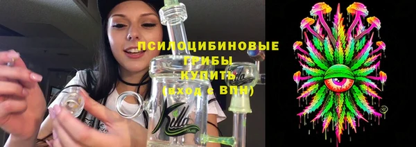 мет Няндома