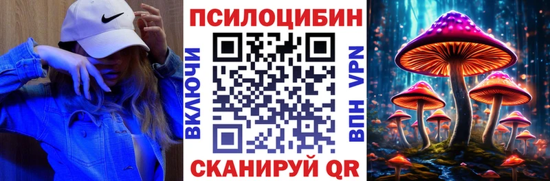 ссылка на мегу онион  Аша  Псилоцибиновые грибы Psilocybe 