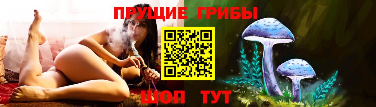 Галлюциногенные грибы прущие грибы  купить закладку  Аша  Вход с VPN 