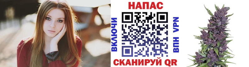 Бошки марихуана OG Kush Аша