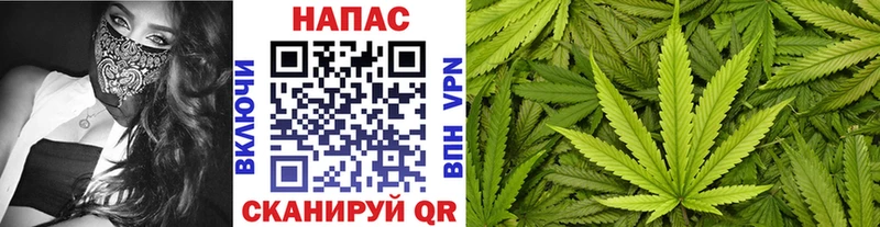 нарко площадка наркотические препараты  даркнет сайт  Аша  Шишки марихуана индика 