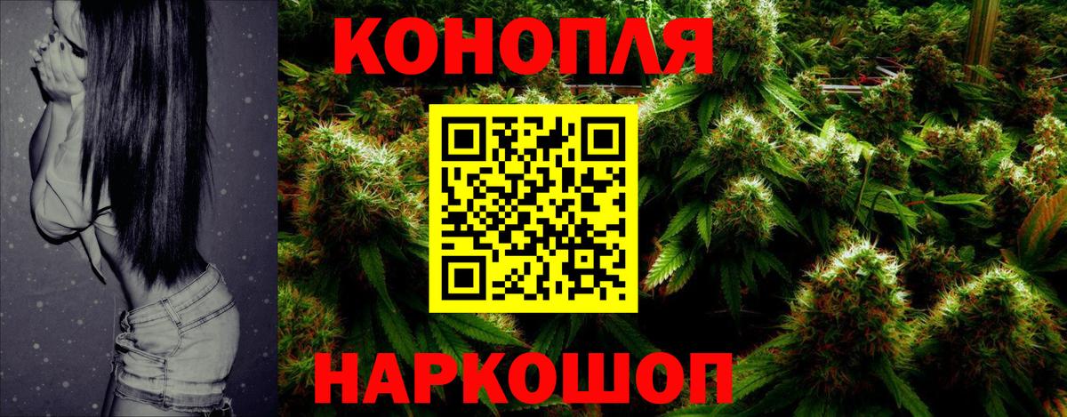 Канабис план  Шишки марихуана OG Kush  Конопля Bruce Banner  Вход с VPN  Каннабис Ganja  Аша 